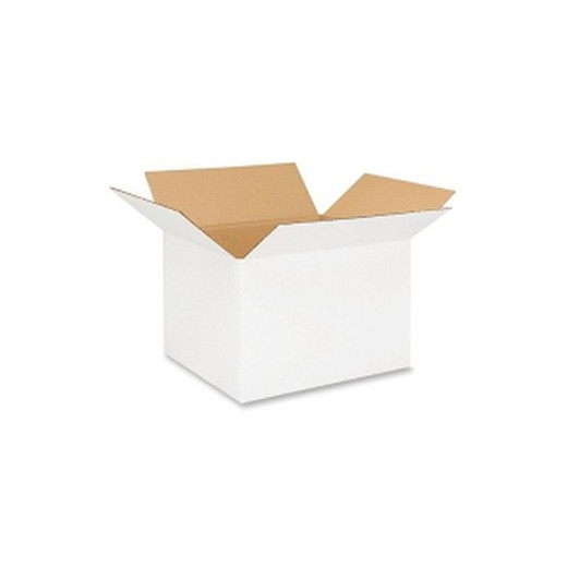 Caja de cartón blanca canal simple