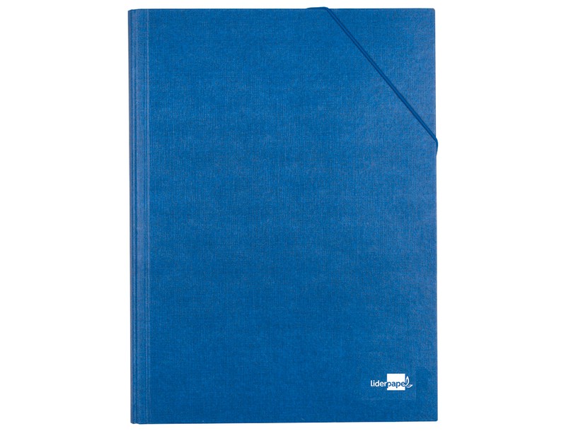 Carpeta clasificadora Folio cartón 12 separadores
