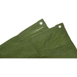 Lonas Verdes De Primeras Materias 150 Gr