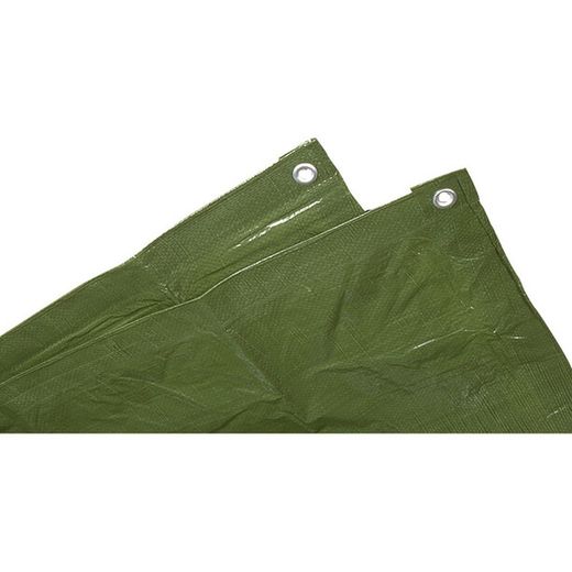Lonas Verdes De Primeras Materias 100 Gr